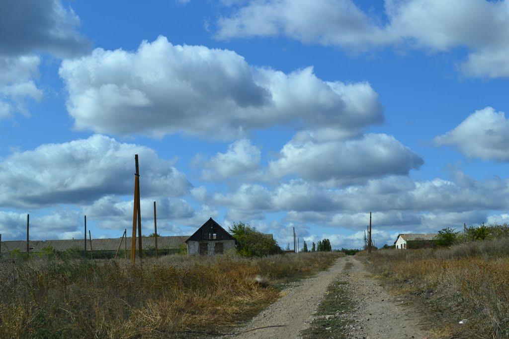 Новомлинівка з panoramio.com - Новомлинівка