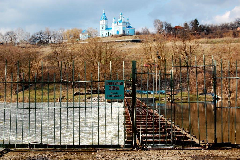 Кочеток з panoramio.com - Кочеток