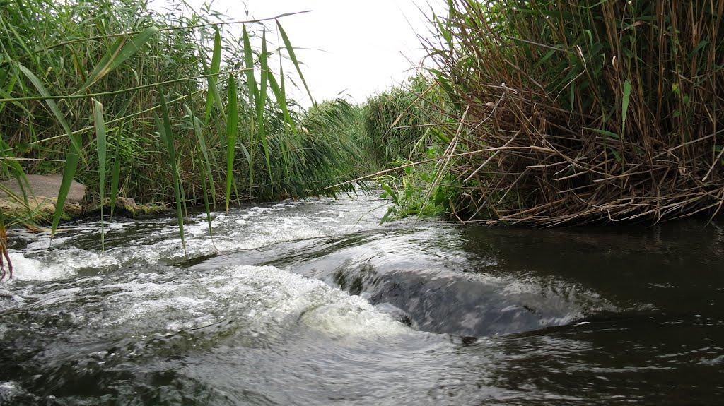 Токівське з panoramio.com - Токівське