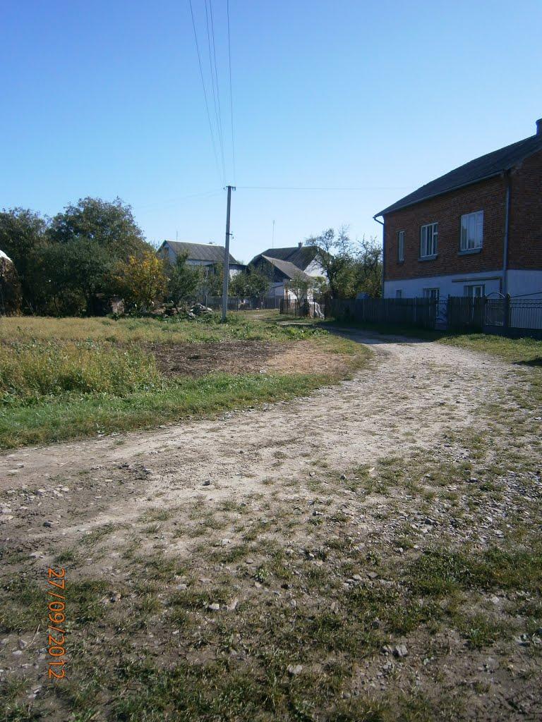 Берездівці з panoramio.com - Берездівці