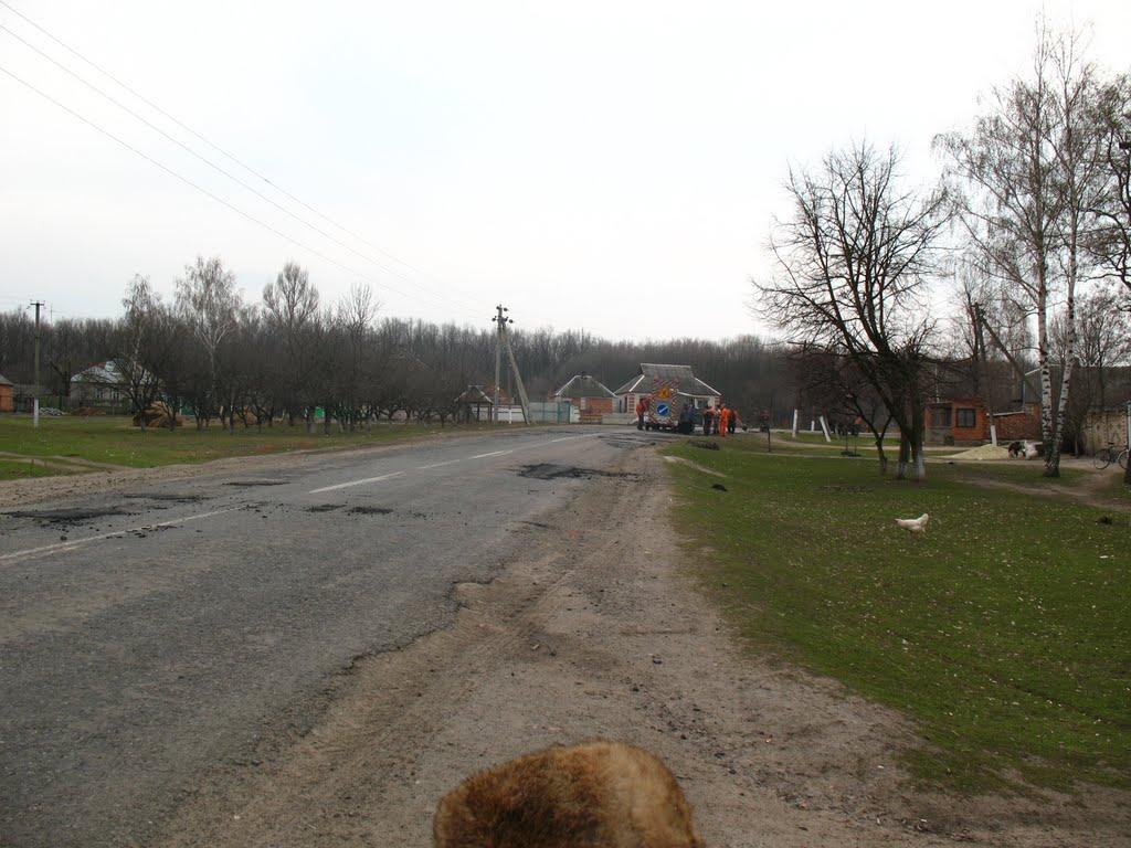 Леськівка з panoramio.com - Леськовка
