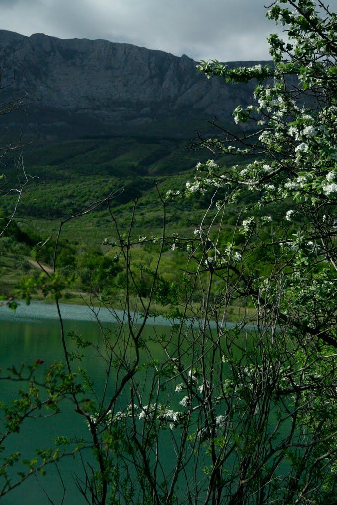 Рибаче з panoramio.com (ч.2) - Рибаче