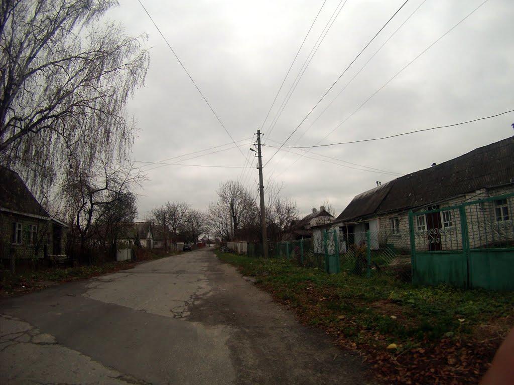 Новоград-Волинський з panoramio.com (ч.3) - Новоград-Волынский