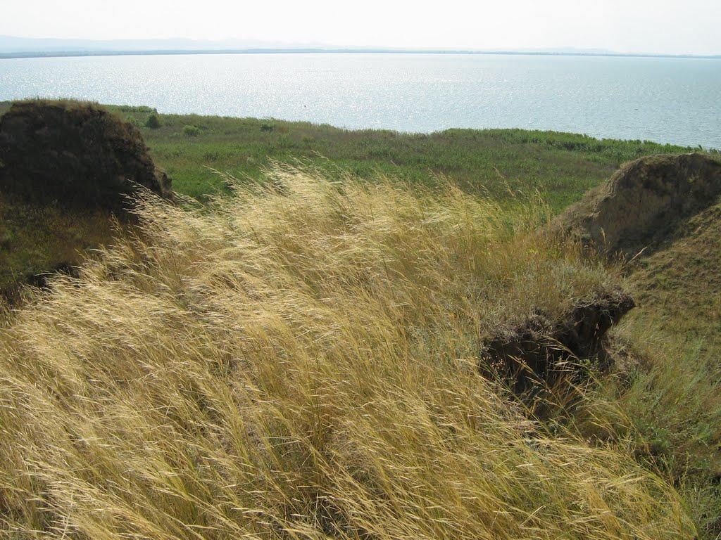 Орлівка з panoramio.com - Орлівка