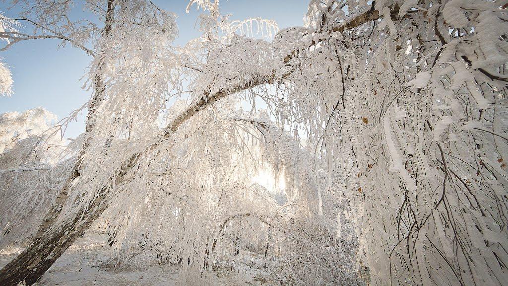 Охотниче з panoramio.com (ч.3) - Охотничее