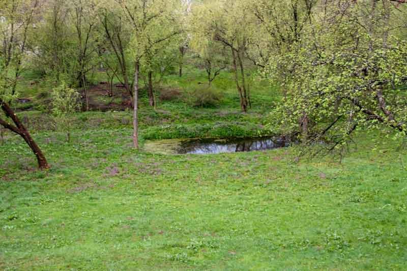 Шевченкове з panoramio.com - Shevchenkove