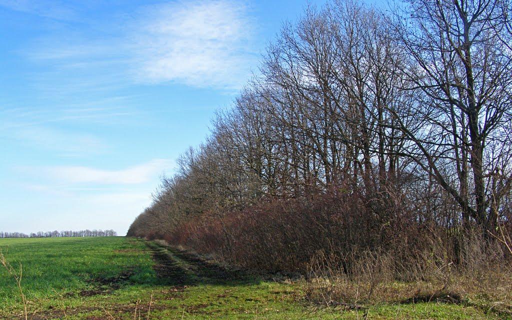 Желепове з panoramio.com - Желепово