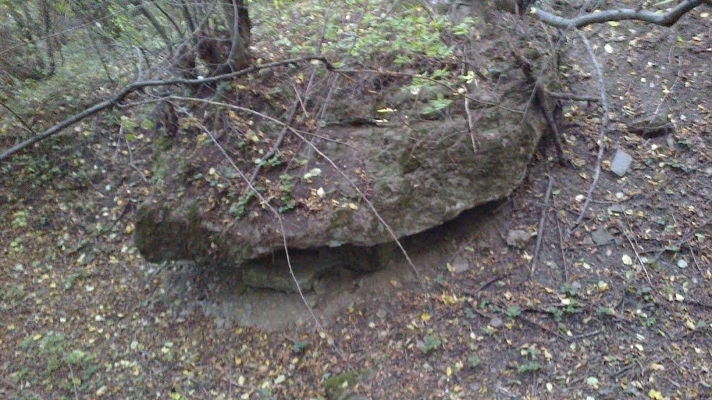 Касперівці з panoramio.com - Касперівці