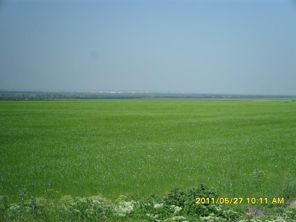 Степанівка з panoramio.com - Степанівка