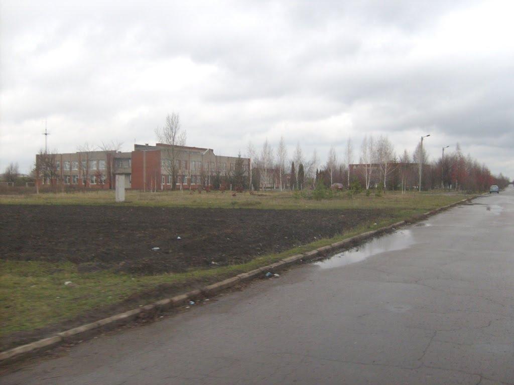 Нові Мартиновичі з panoramio.com - Новые Мартыновичи