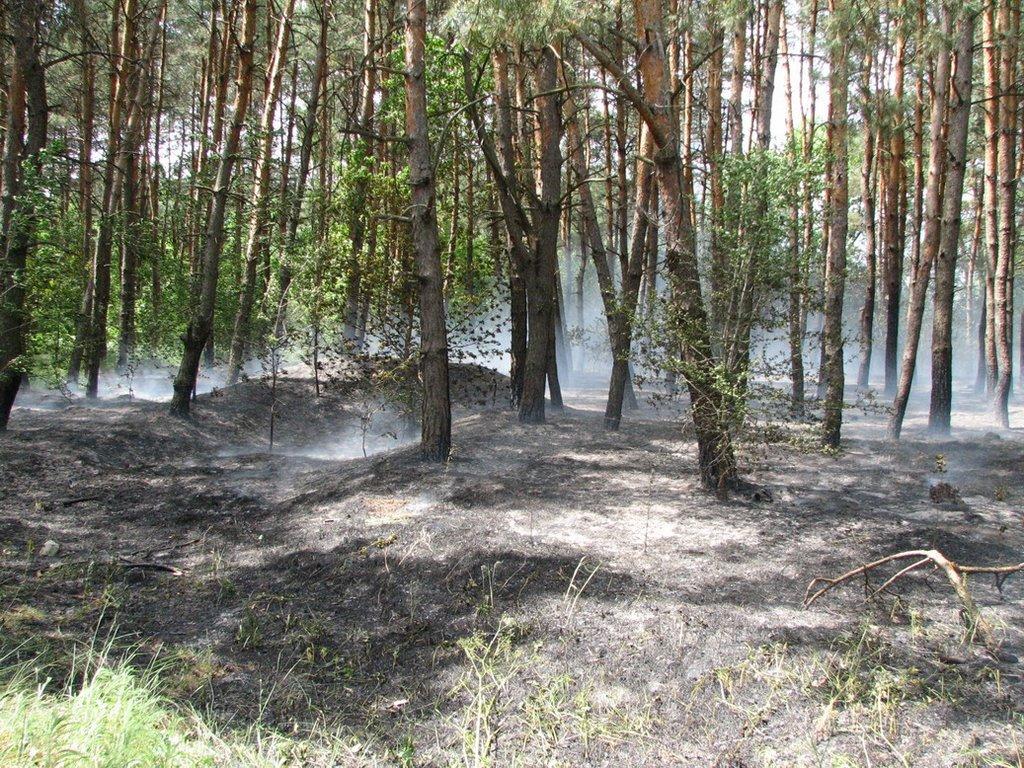 Могилів з panoramio.com - Могилів