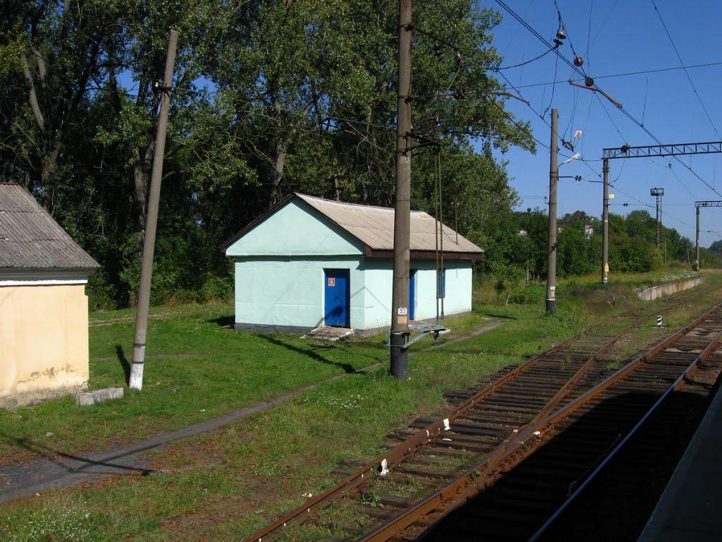 Великий Любінь з panoramio.com - Великий Любінь