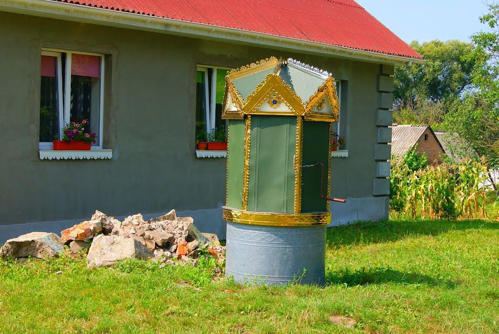 Шепетівка з panoramio.com (ч.2) - Шепетовка