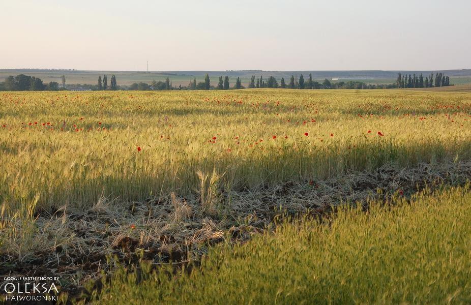 Кочергіне з panoramio.com - Кочергіне