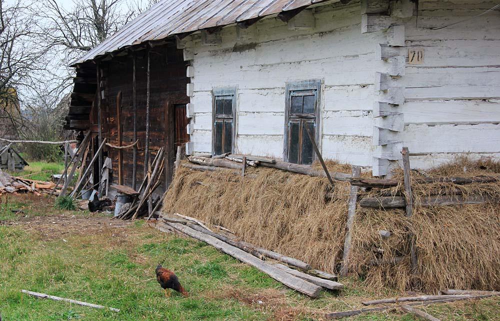 Полиці з panoramio.com - Полиці