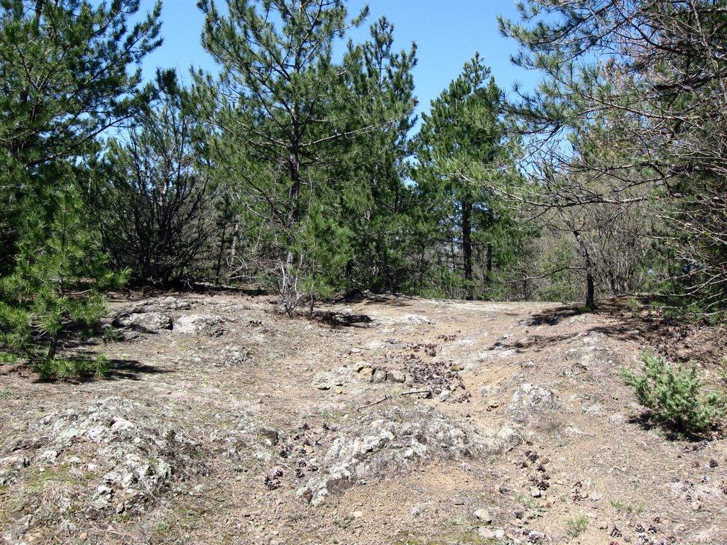 Щасливе з panoramio.com - Щасливе