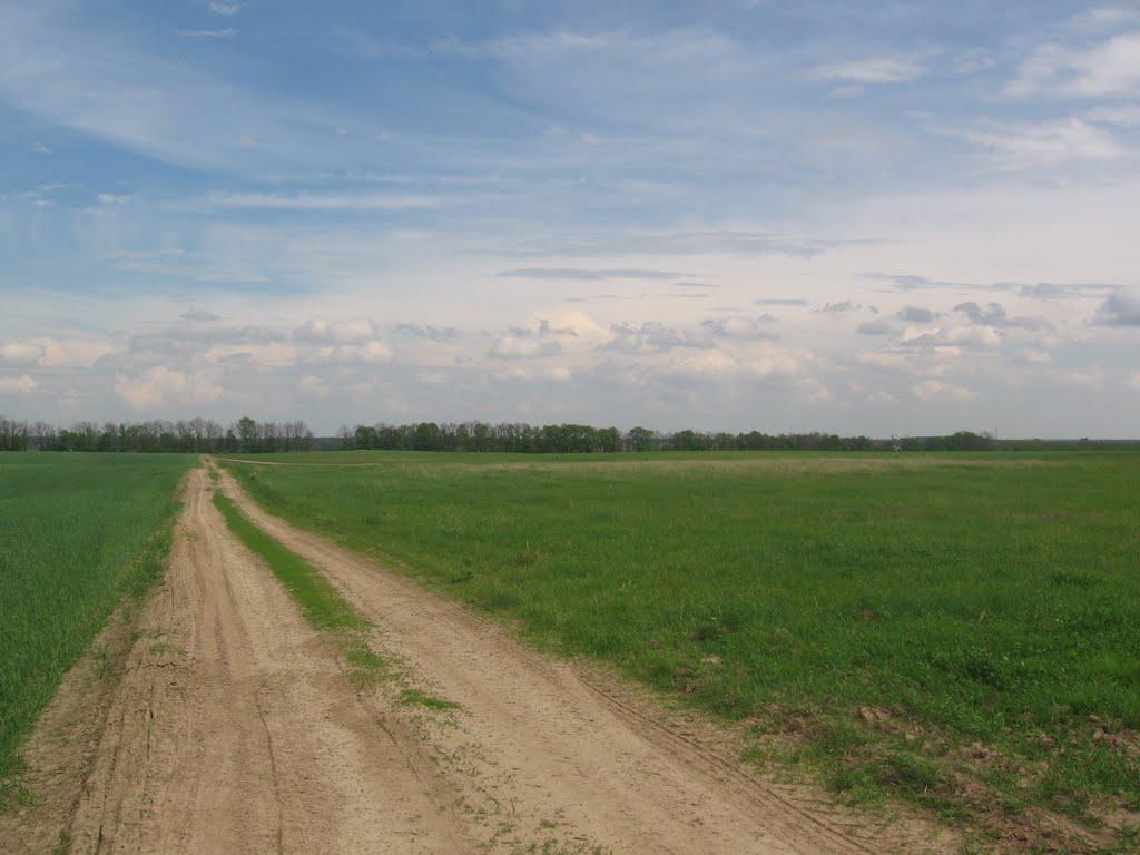 Новоселівка з panoramio.com - Новоселовка