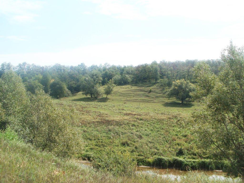 Гайсин з panoramio.com (ч.3) - Гайсин