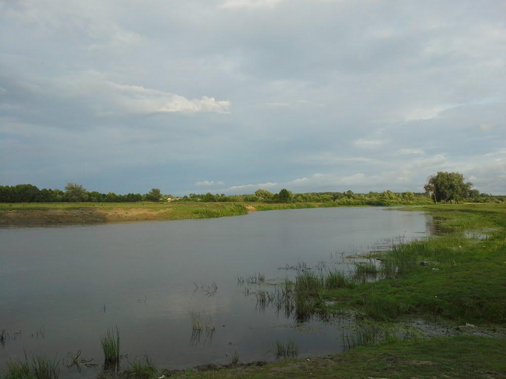 Степань з panoramio.com - Степань