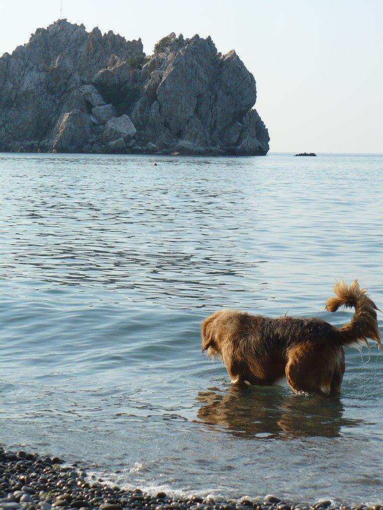 Гурзуф з panoramio.com (ч.3) - Гурзуф