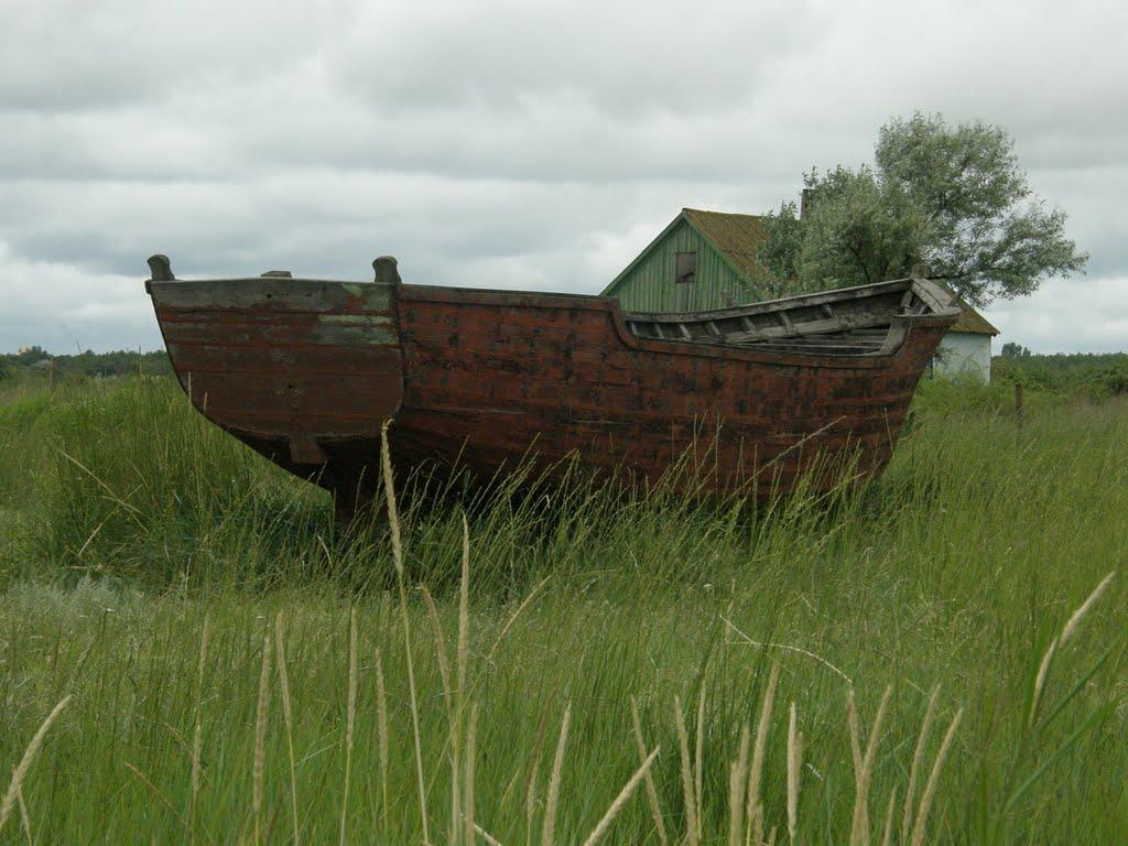 Вікторівка з panoramio.com - Вікторівка