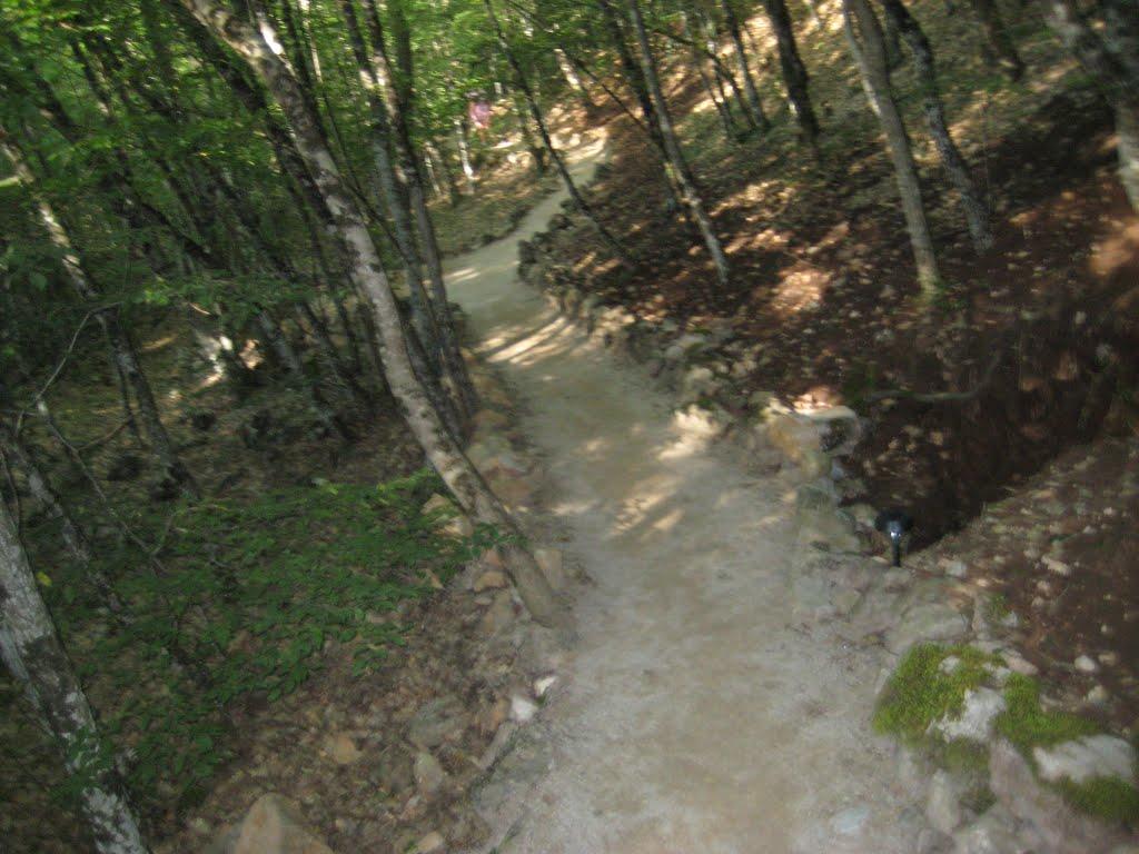 Новобобрівське з panoramio.com - Новобобрівське