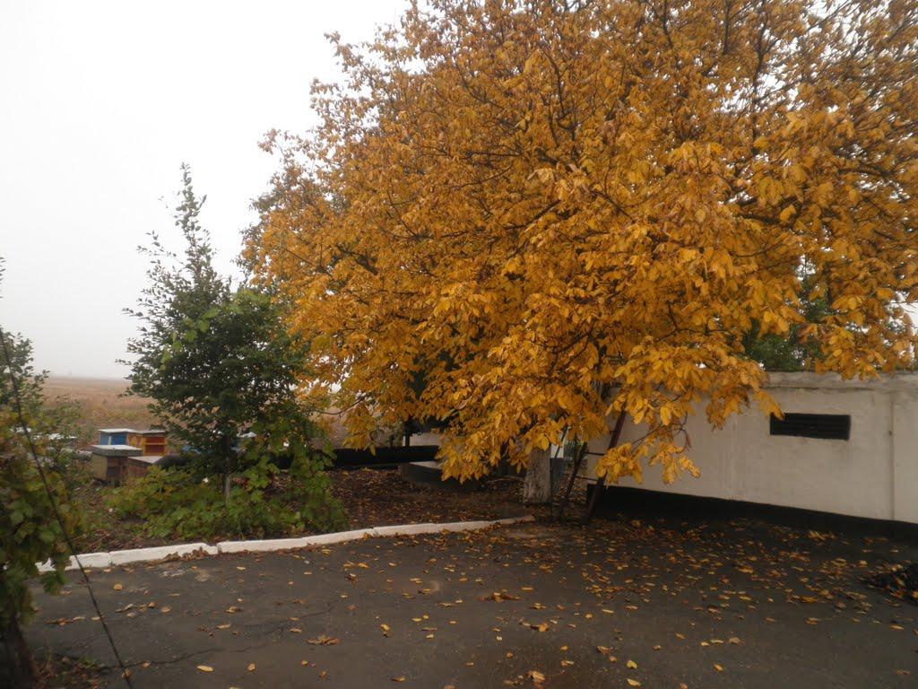 Кривий Ріг з panoramio.com - Кривий Ріг