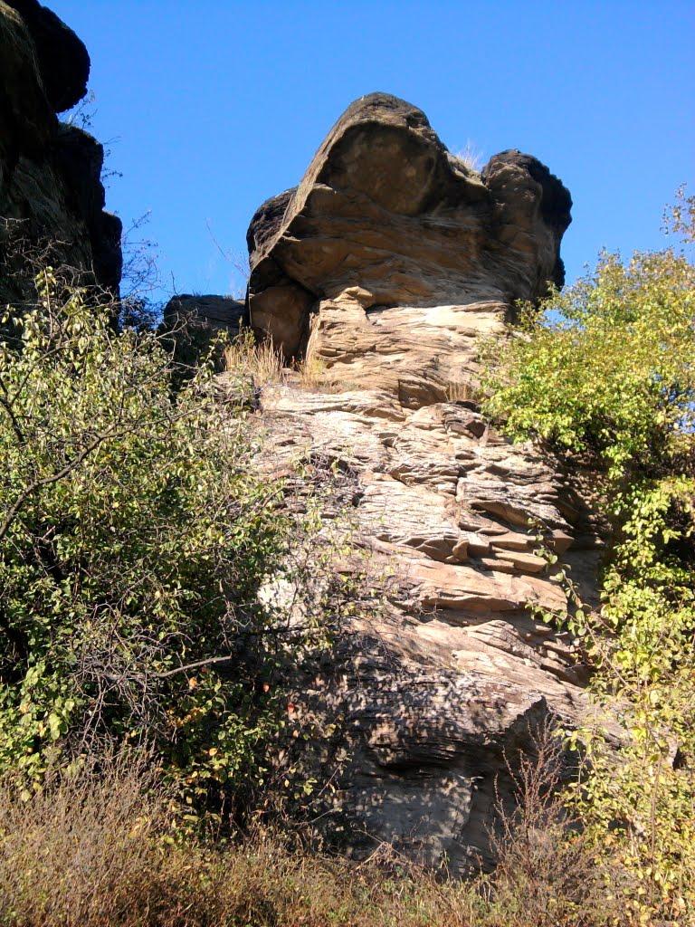 Ящикове з panoramio.com - Ящикове