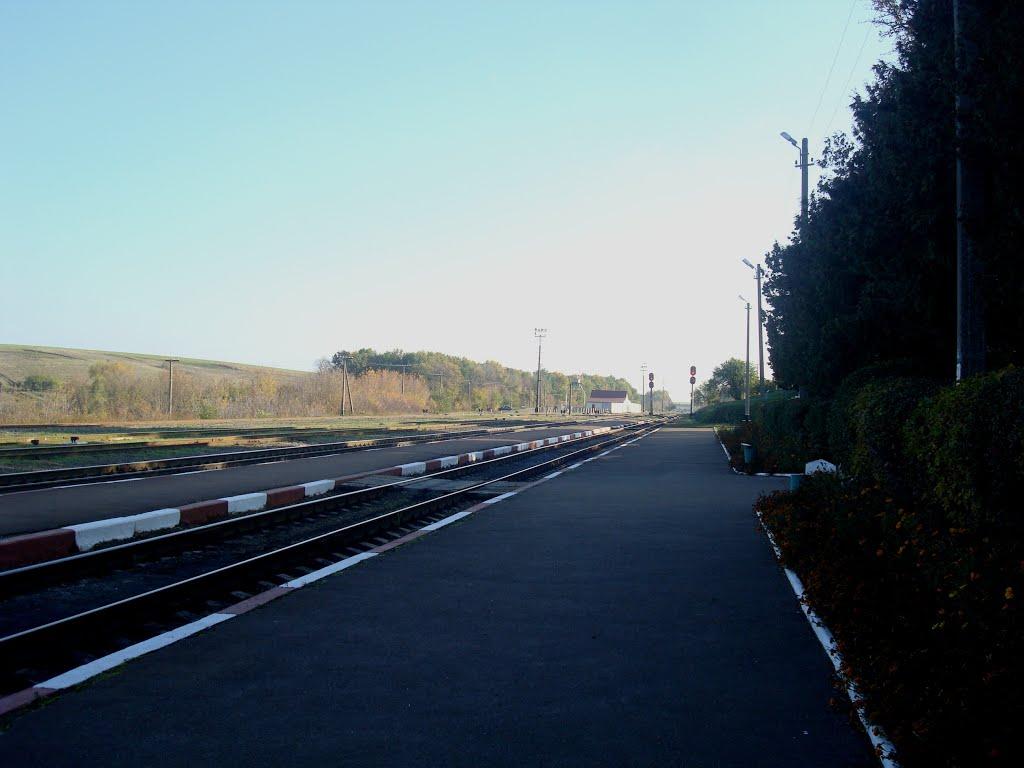 Томашівка з panoramio.com - Томашівка