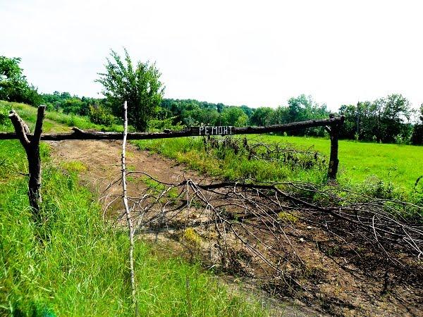 Святогорівка з panoramio.com - Святогорівка