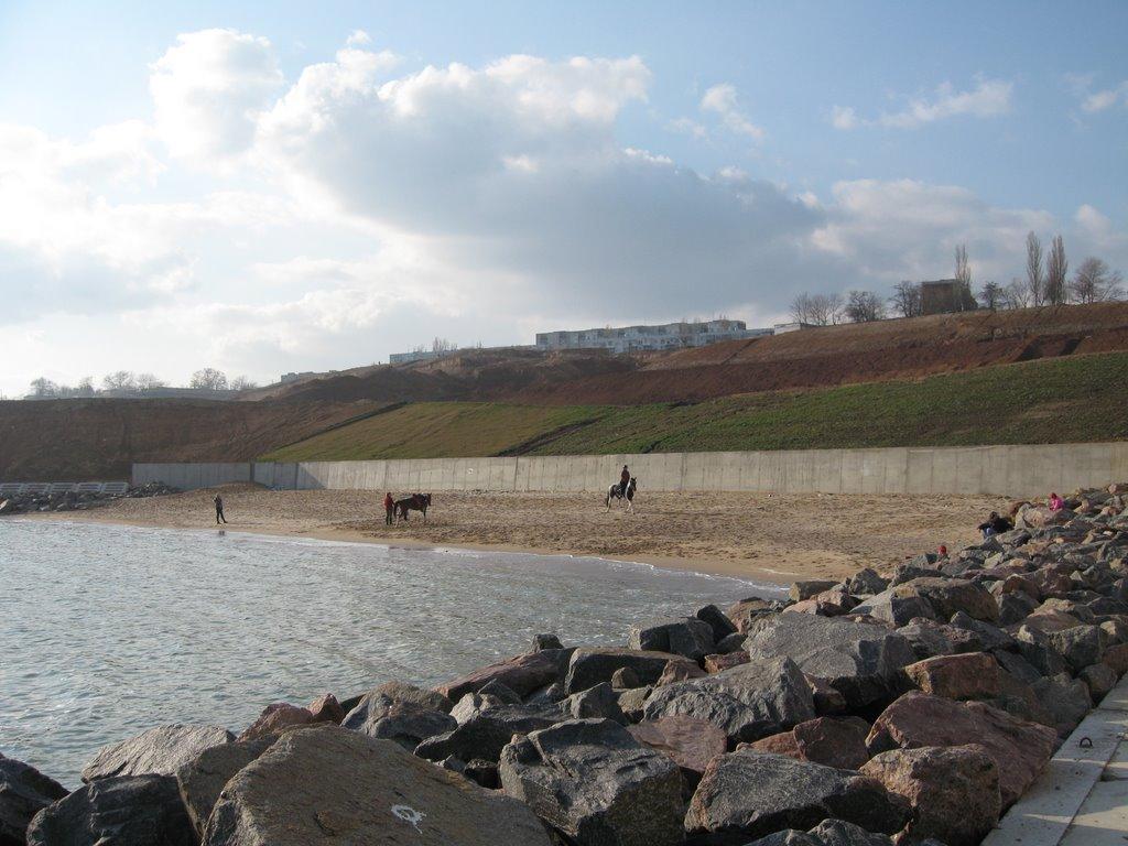 Нова Дофінівка з panoramio.com - Нова Дофінівка