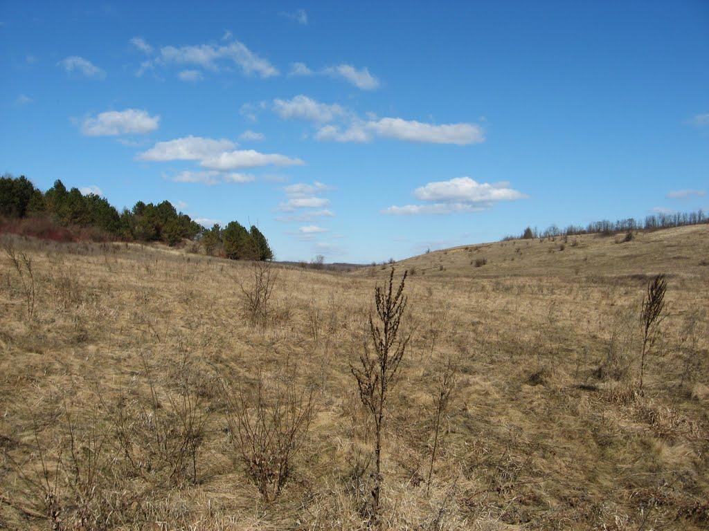 Домниця з panoramio.com - Домниця