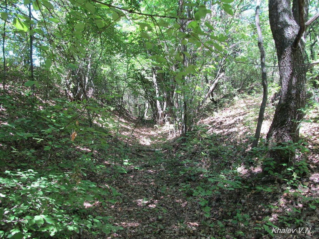 Одринка з panoramio.com - Одринка