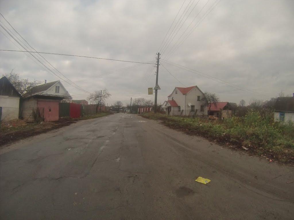 Новоград-Волинський з panoramio.com (ч.3) - Новоград-Волынский