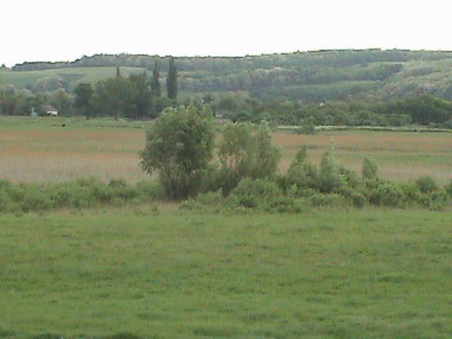 Царичанка з panoramio.com - Царичанка