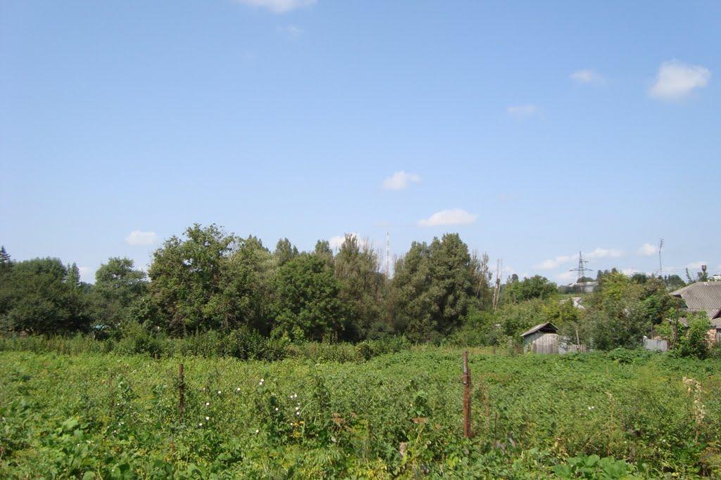 Раціборівка з panoramio.com - Рациборовка