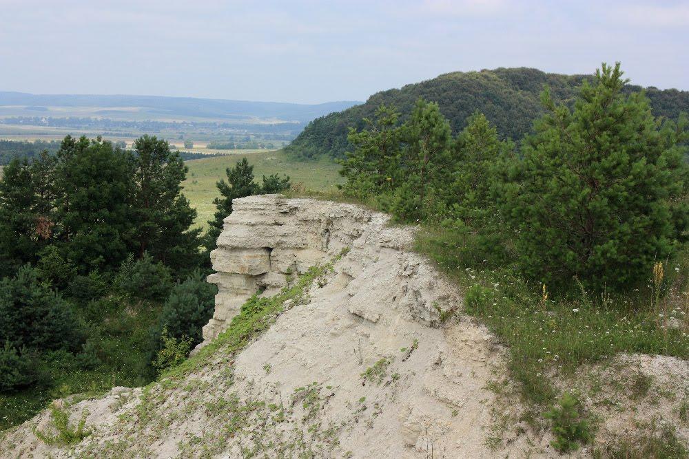 Сасів з panoramio.com - Сасів