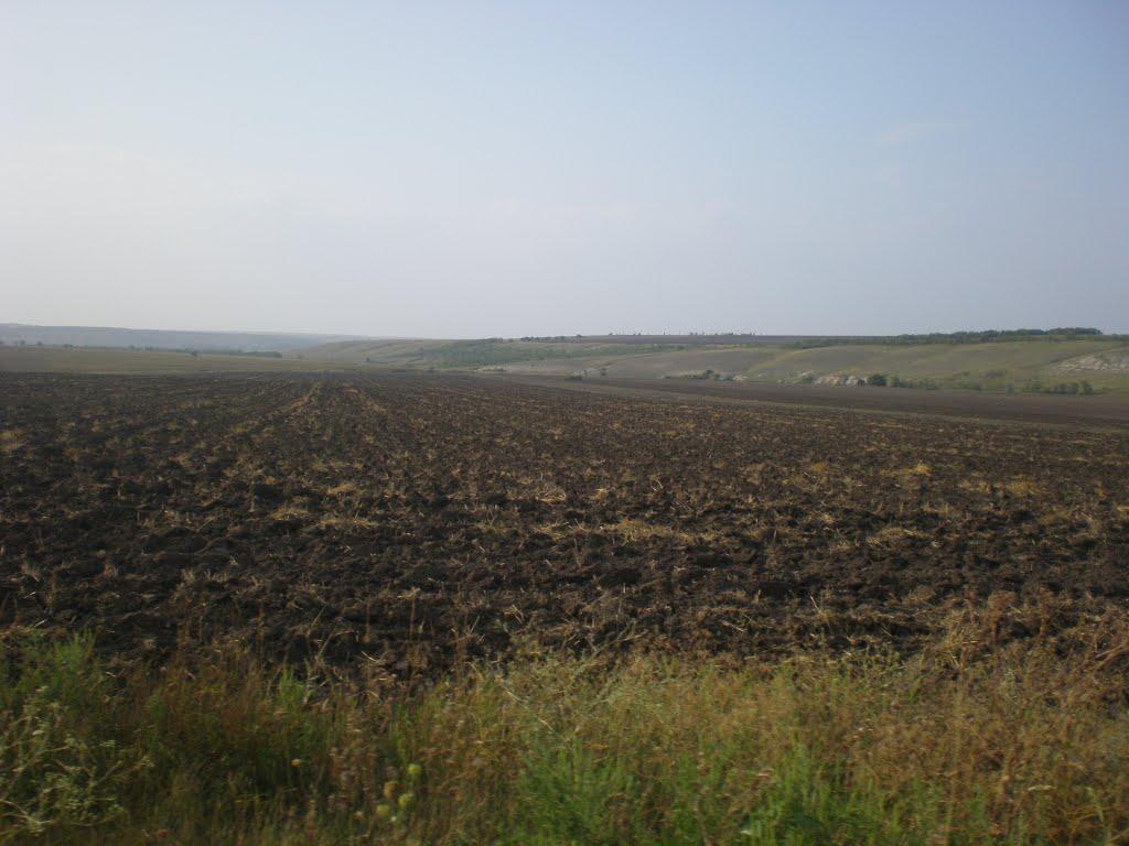 Краснодон з panoramio.com - Краснодон