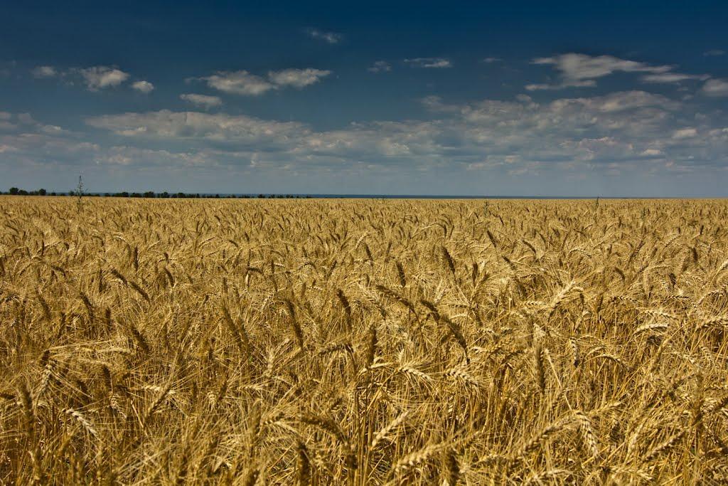 Міжводне з panoramio.com - Mizhvodne