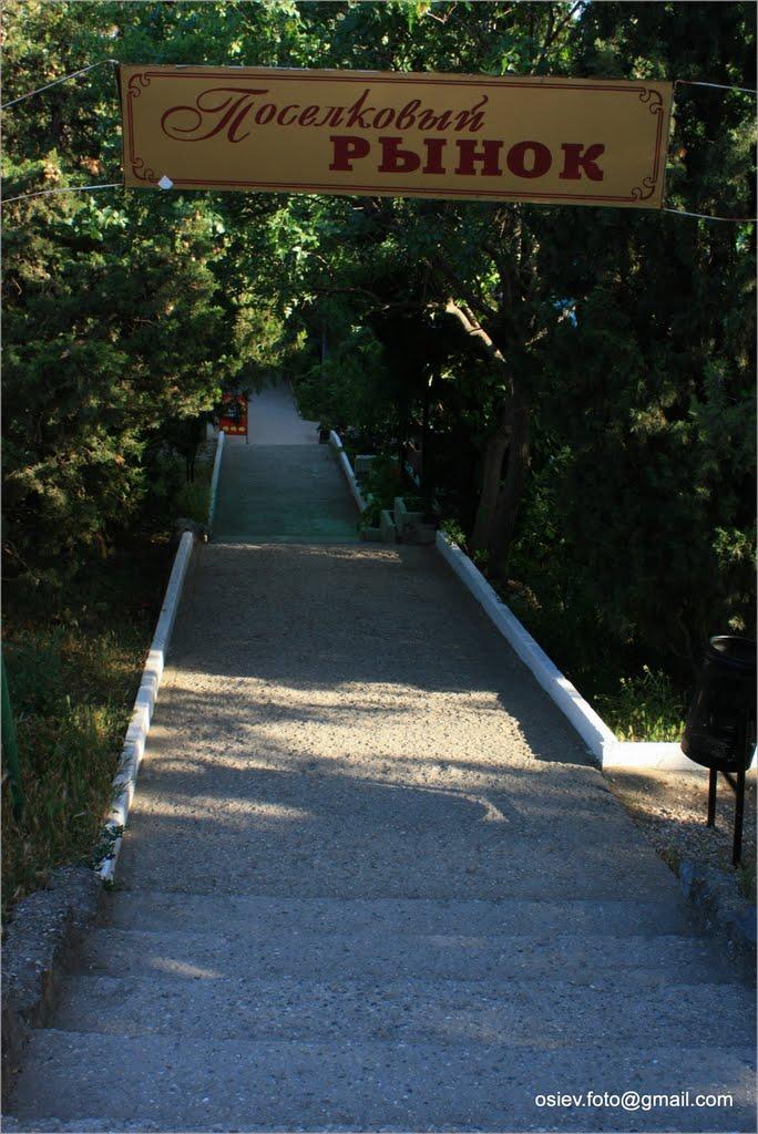 Новий Світ з panoramio.com (ч.4) - Новий Світ