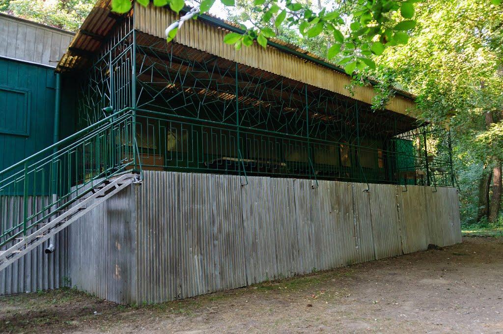 Соломоново з panoramio.com (ч.2) - Соломоново