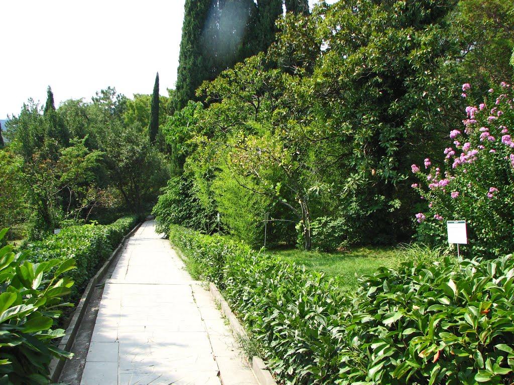 Алупка з panoramio.com (ч.3) - Алупка