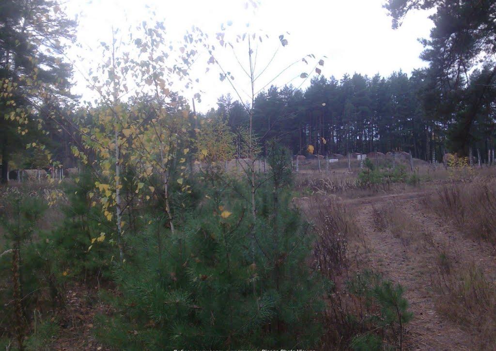 Ватутіне з panoramio.com - Ватутіне