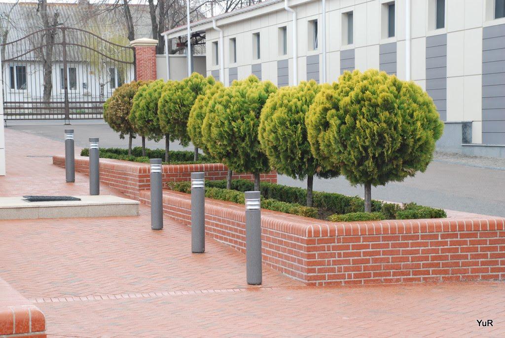 Шабо з panoramio.com - Шабо