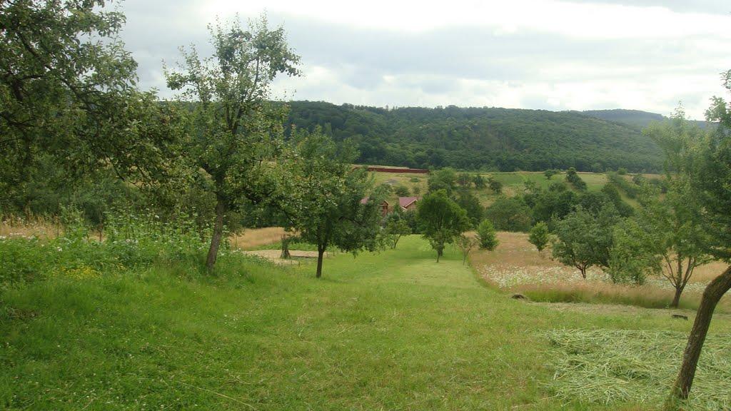 Верхня Визниця з panoramio.com - Верхня Визниця