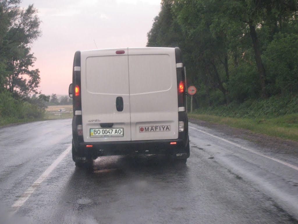 Велика Вільшаниця з panoramio.com - Велика Вільшаниця