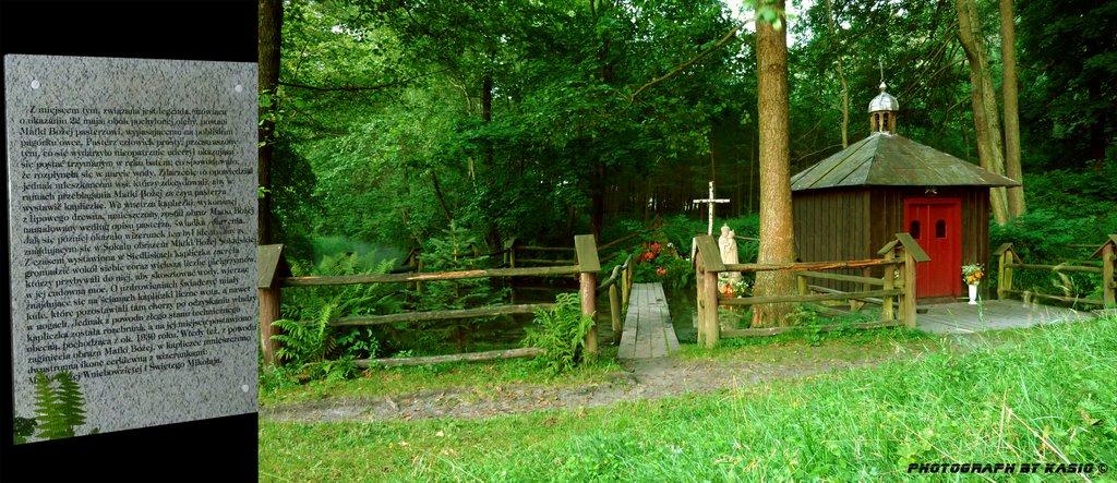 Зелена Гута з panoramio.com - Зеленая Гута