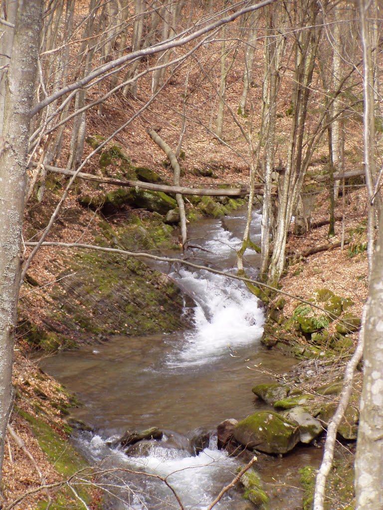 Полянська Гута з panoramio.com - Полянська Гута