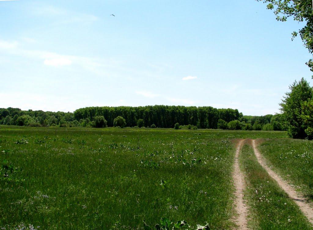 Бояро-Лежачі з panoramio.com - Бояро-Лежачі