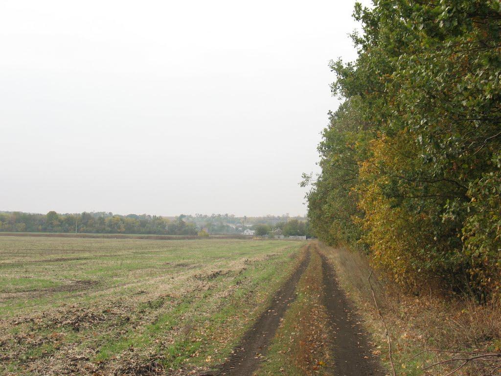 Лежине з panoramio.com - Лежине